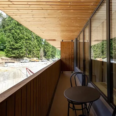 Mitarbi Ski Apartment Bakuriani Exterior photo