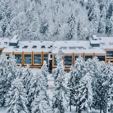 Mitarbi Ski Apartment Bakuriani Exterior photo