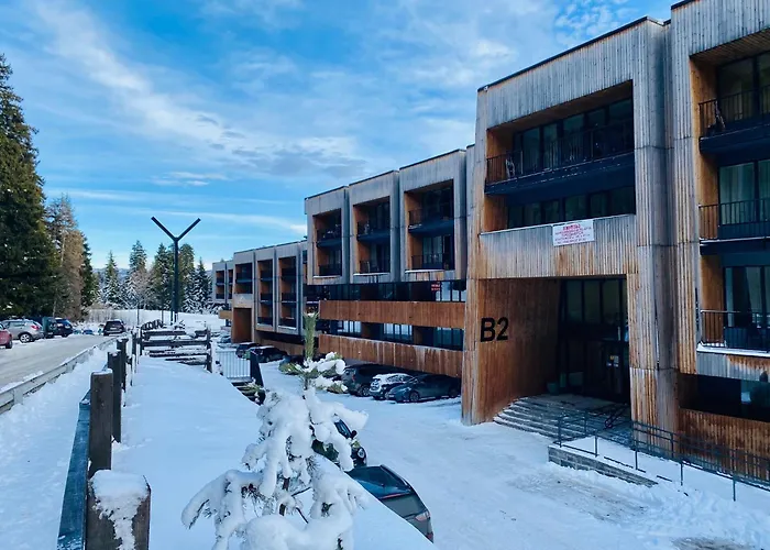 Mitarbi Ski Apartment